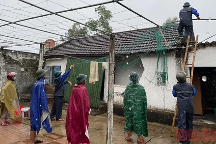 Xã Xuân Liên (Nghi Xuân) huy động lực lượng hỗ trợ các hộ gia đình neo đơn chằng chống nhà cửa. 