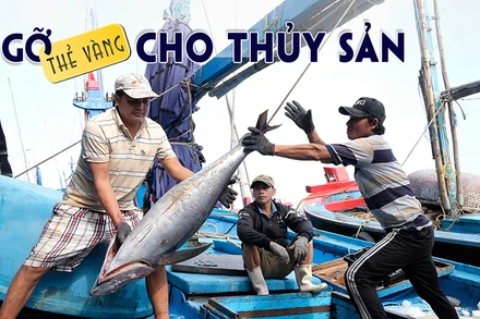 Gỡ thẻ vàng cho thủy sản
