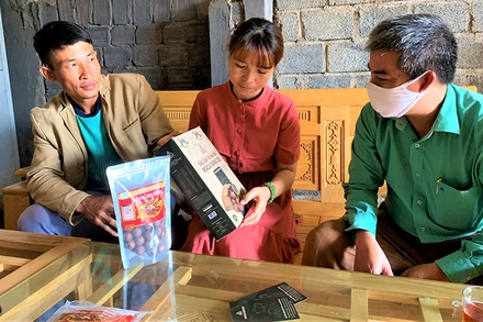 Chị H’Bích Niê Kđăm, Giám đốc Công ty TNHH phát triển nông nghiệp Kim Bình Mắc ca giới thiệu sản phẩm mắc ca của công ty cho khách hàng.