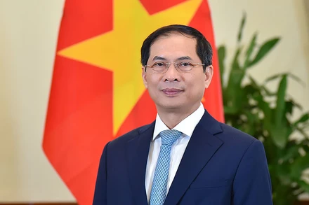 Bộ trưởng Ngoại giao Bùi Thanh Sơn. (Ảnh: Bộ Ngoại giao)