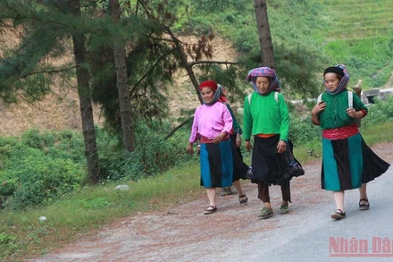 Cải thiện đời sống, sinh kế cho người dân là một trong những ưu tiên của chương trình ABP. (Ảnh minh họa : HOÀNG LINH)