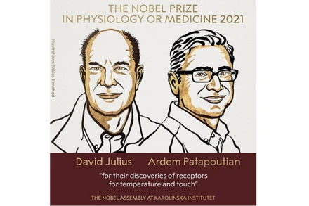 Giải Nobel Y sinh 2021 thuộc về 2 nhà khoa học David Julius và Ardem Patapoutian. (Ảnh: Nobel Prize)
