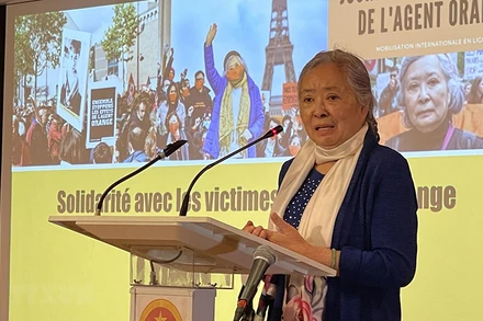 Bà Trần Tố Nga bày tỏ quyết tâm theo đuổi cuộc đấu tranh giành công lý cho các nạn nhân da cam, trong đó có bà. 