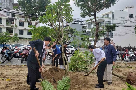 Người dân tham gia trồng cây lớn tại Công viên Đình làng Phước Trường.