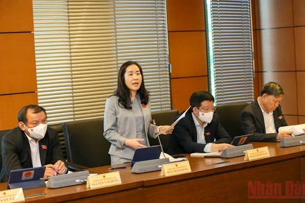 Đại biểu Quốc hội Đoàn Thị Thanh Mai (Hưng Yên) phát biểu tại phiên thảo luận tổ sáng 23/10. 