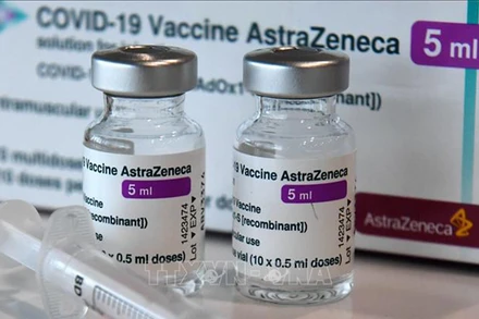 Cho đến nay, Italy đã bàn giao tổng cộng hơn 2,8 triệu liều vaccine nhằm hỗ trợ chiến dịch tiêm chủng của Việt Nam. (Ảnh: TTXVN)