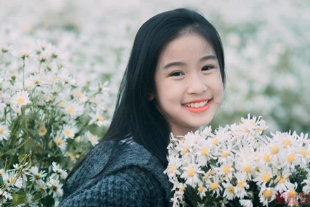 Hà Nội mùa "họa mi" xuống phố