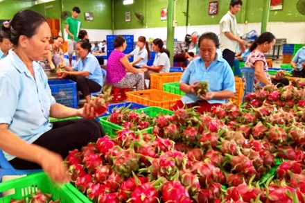 Giữ vững đà tăng trưởng nông nghiệp