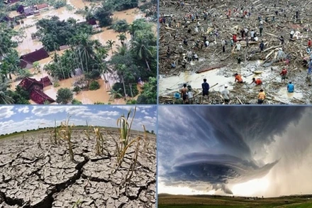 Trung bình mỗi năm thiên tai làm gần 400 người chết và mất tích, thiệt hại về kinh tế khoảng 1-1,5% GDP.