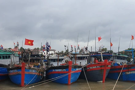 Toàn bộ tàu thuyền Nghệ An đã vào nơi trú đậu an toàn.