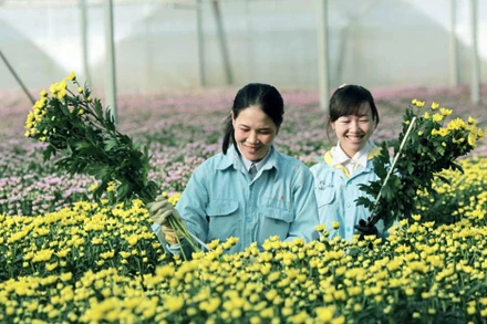 Du lịch canh nông phát triển mạnh ở tỉnh Lâm Đồng.