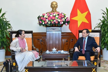 Bộ trưởng Ngoại giao Bùi Thanh Sơn tiếp bà Tridene Dobson, Đại sứ New Zealand tại Việt Nam. (Ảnh do báo Thế giới và Việt Nam cung cấp)