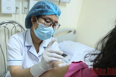 Ảnh minh họa: Duy Linh.