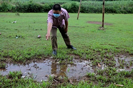 Người dân phát hiện cá chết dạt vào bờ suối Cái.