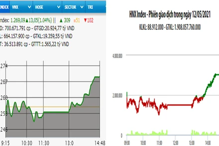 Diễn biến VN-Index và HNX-Index, phiên giao dịch ngày 12-5. 