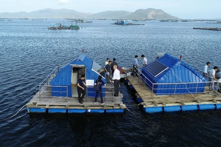 Đại học Công nghệ Sydney (UTS) và Đại học Bách khoa TP Hồ Chí Minh đã ứng dụng và chỉnh sửa công nghệ quan trắc nước của UTS thành phiên bản dành riêng cho Việt Nam. Bốn trạm quan trắc đã được xây dựng ở Phú Yên, cung cấp cảnh báo về chất lượng nước biển trong thời gian thực cho người nuôi tôm hùm và giúp họ bảo vệ mùa màng.