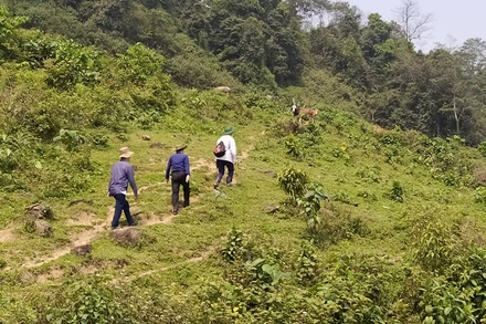 Đường từ bản Huồi Giáng 3 sang bản Thắm Hón vốn là đường mòn người dân đi thăm thân và sản xuất nương rẫy.