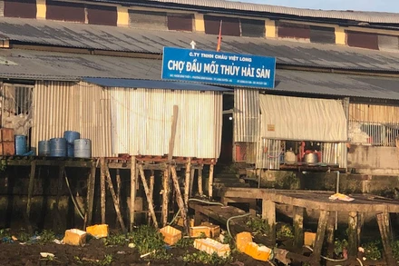 Rác thải dưới bến Chợ đầu mối thủy hải sản.