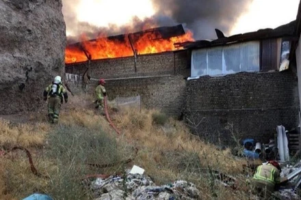 (Ảnh minh hoạ: TTXVN/Reuters)