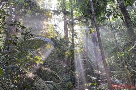 Ấn tượng thiên nhiên Di sản ASEAN trên dãy Trường Sơn