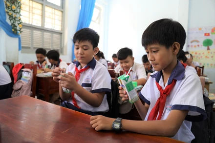 Chương trình Sữa học đường đã góp phần cải thiện chiều cao và cân nặng cho các em học sinh tại Bến Tre. (Ảnh: VNM)
