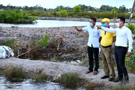 Chủ tịch UBND tỉnh Lê Quân (bìa phải) khảo sát thực tế tại ấp Nguyễn Huế, xã Tân Bằng, huyện Thới Bình.