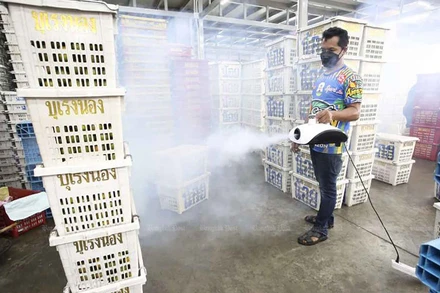 Một người bán hoa quả đang  phun thuốc khử khuẩn vào gian hàng của mình nhằm giảm nguy cơ nhiễm Covid-19. (Ảnh: Bangkok Post)