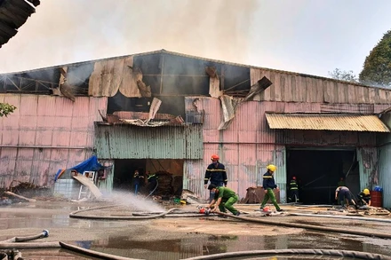 Hiện trường vụ cháy CTCP gỗ Tâm Thuận Phát.