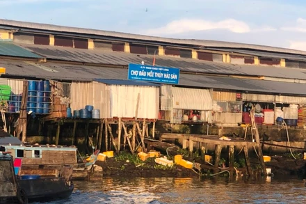 Chợ đầu mối thủy hải sản được xác định có nhiều vi phạm từ việc xả thải trực tiếp ra sông Hậu.