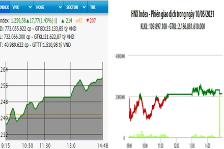 Diễn biến VN-Index và HNX-Index, phiên giao dịch ngày 10-5. 