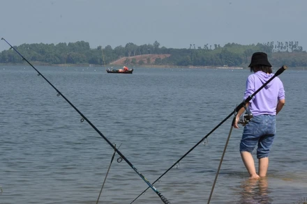 Một gốc hồ Trị An.