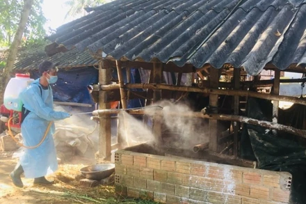 Ngành chức năng ở Quảng Ngãi phun thuốc tiêu độc khử trùng chuồng trại chăn nuôi.