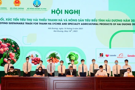 Các sàn thương mại điện tử ký thỏa thuận hợp tác với các doanh nghiệp sản xuất, thu mua chế biến nông sản.