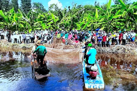 Các hoạt động trải nghiệm thực tế về chụp đìa thu hoạch cá đồng tại Vườn Quốc gia U Minh hạ trong ngày 1-5.
