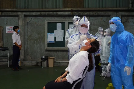 Tiến hành lấy mẫu xét nghiệm trên diện rộng tại TP Hồ Chí Minh