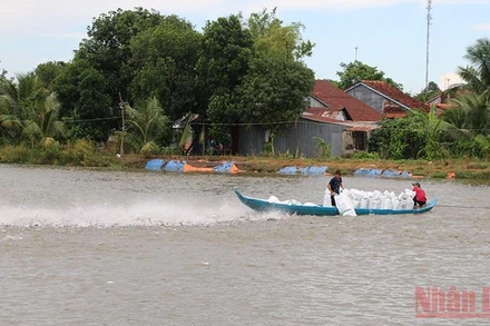 Vùng nuôi cá tra tại huyện Hồng Ngự, tỉnh Đồng Tháp.