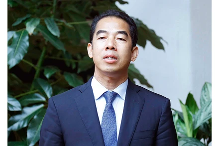 Thứ trưởng Ngoại giao Tô Anh Dũng. Ảnh: Doãn Tấn - TTXVN