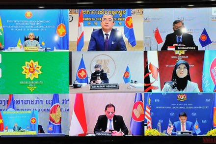Phiên khai mạc Hội nghị Bộ trưởng Kinh tế ASEAN lần thứ 53 theo hình thức trực tuyến.