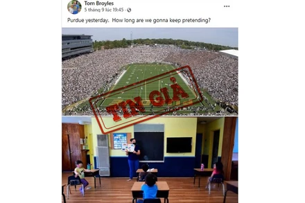 Bức ảnh SVĐ Ross-Ade với chú thích sai.