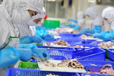 Dịch Covid-19 tác động lớn tới thị trường lao động - việc làm nước ta.(Ảnh minh họa)