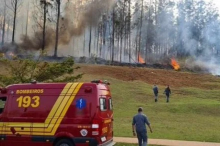 Nguyên nhân vụ tai nạn đang được điều tra làm rõ. (Ảnh: TTXVN)