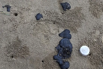 Dầu vón cục dạt vào biển Vĩnh Thái, huyện Vĩnh Linh.