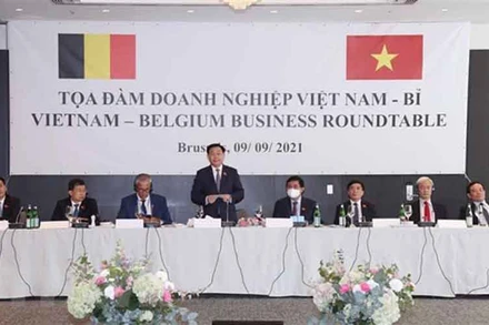 Chủ tịch Quốc hội Vương Đình Huệ phát biểu tại Tọa đàm doanh nghiệp Việt Nam - Bỉ. (Ảnh: Doãn Tấn/TTXVN)