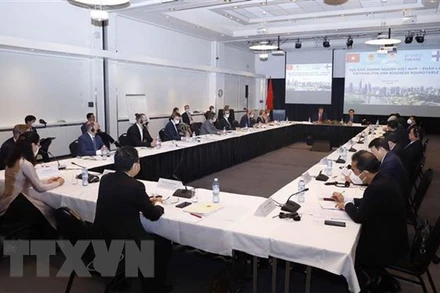 Quang cảnh Tọa đàm doanh nghiệp Việt Nam-Phần Lan. (Ảnh: Doãn Tấn/TTXVN)