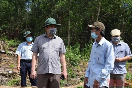 Chủ tịch UBND tỉnh Phú Yên Trần Hữu Thế kiểm tra, chỉ đạo xử lý hành vi phá rừng tại hiện trường khu vực rừng phòng hộ đầu nguồn tại xã Sơn Hội đã được Báo Nhân Dân phản ánh.