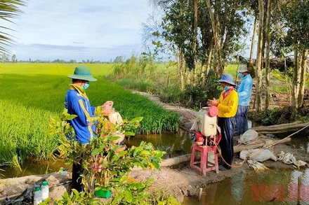 Hỗ trợ các tỉnh phía nam ổn định sản xuất trong bối cảnh dịch Covid-19 còn diễn biến phức tạp.