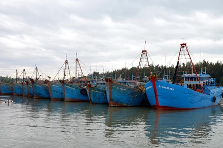 Tàu thuyền của ngư dân neo đậu tại Cảng cá La Gi (Bình Thuận) sau khi phải tạm ngừng khai thác thủy sản để phòng, chống dịch Covid-19. 