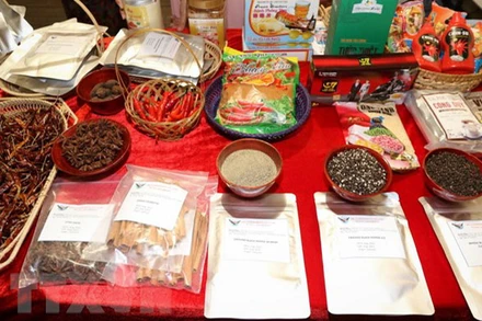 Các sản phẩm gia vị Việt Nam trưng bày tại Hội chợ ớt quốc tế lần thứ 10 tại Italy mới đây. (Ảnh: TTXVN)