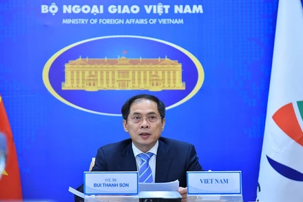 Bộ trưởng Ngoại giao Bùi Thanh Sơn. (Ảnh: Báo Thế giới và Việt Nam)