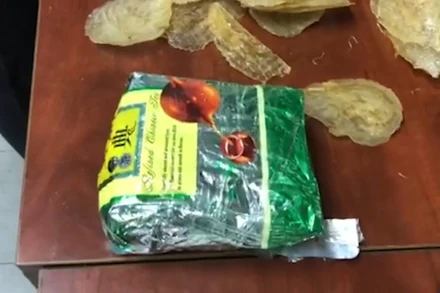 Ma túy được giấu tinh vi trong những gói cá khô xuất khẩu.